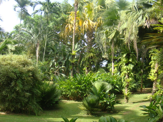 DSC03339.JPG