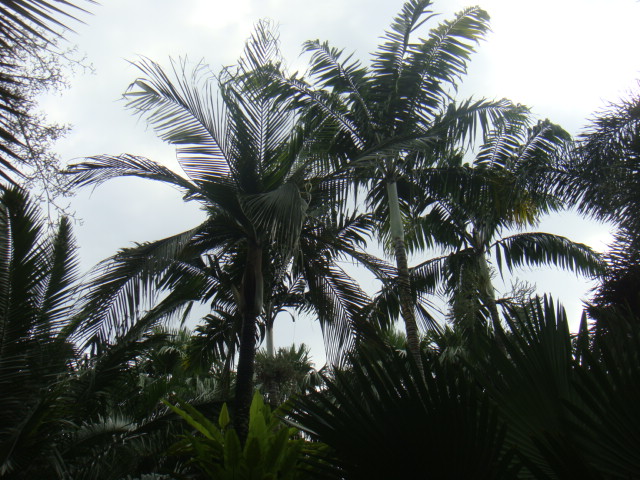 DSC03341.JPG