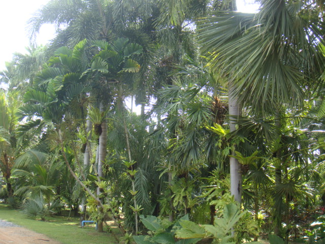 DSC03347.JPG