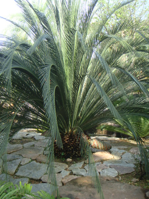 DSC03350.JPG
