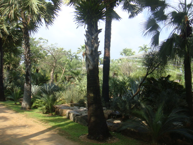 DSC03353.JPG