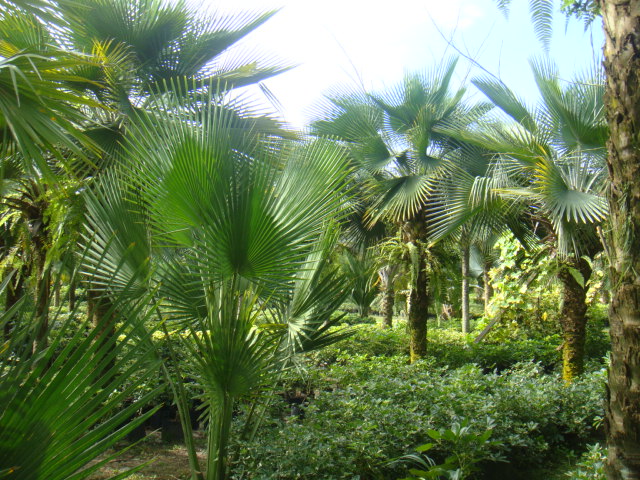 DSC03363.JPG
