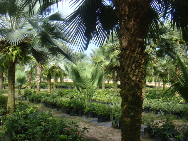 DSC03364.JPG