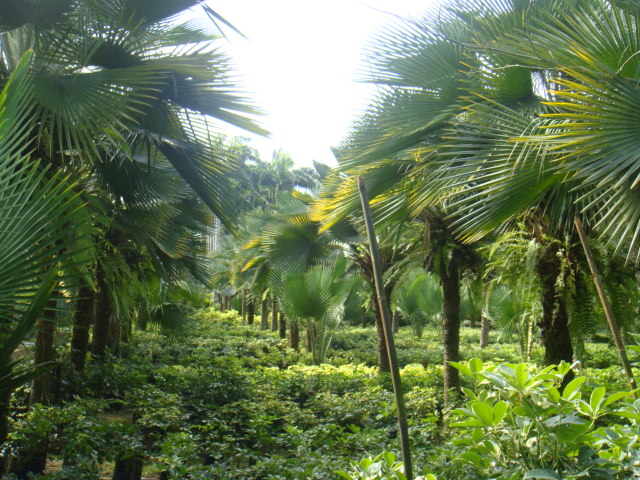 DSC03365.JPG
