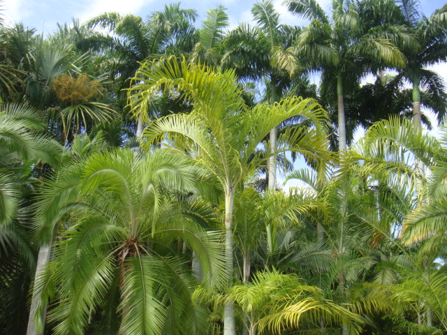 DSC03370.JPG
