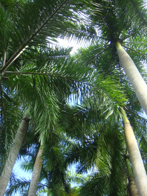 DSC03374.JPG