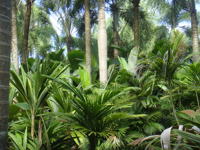 DSC03378.JPG