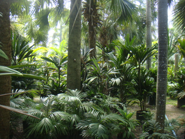 DSC03379.JPG