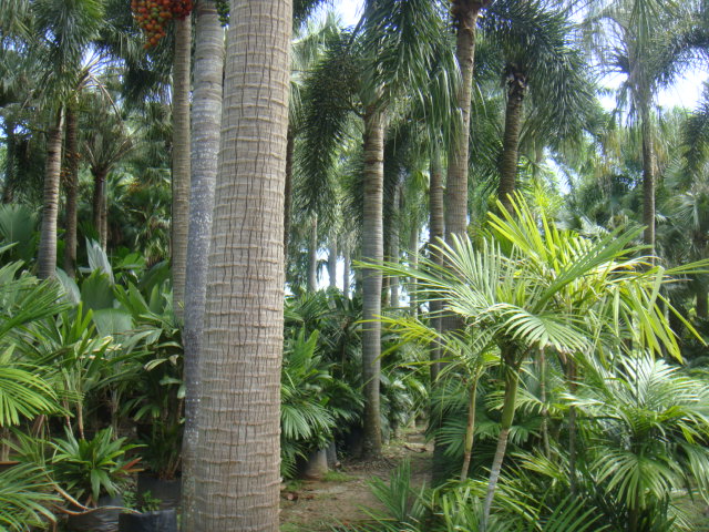 DSC03383.JPG
