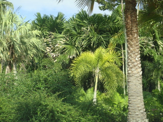 DSC03384.JPG