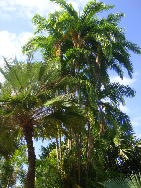 DSC03385.JPG