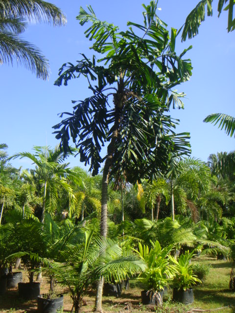 DSC03390.JPG