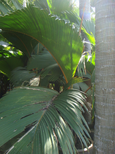 DSC03395.JPG