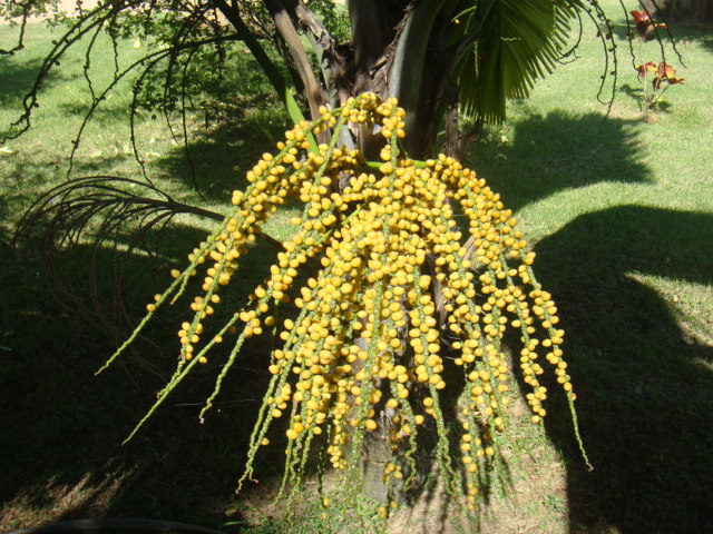 DSC03399.JPG