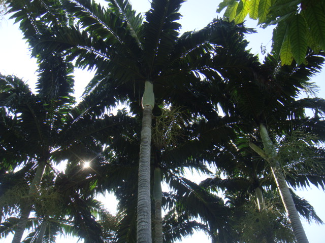 DSC03403.JPG