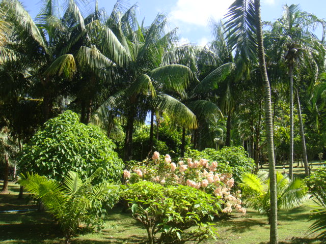 DSC03411.JPG