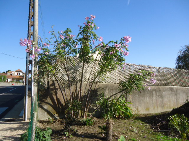 DSC01562.JPG