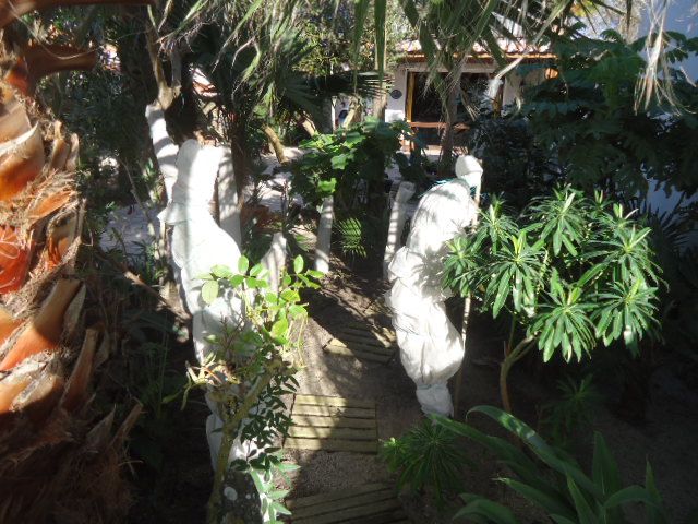 DSC01566.JPG