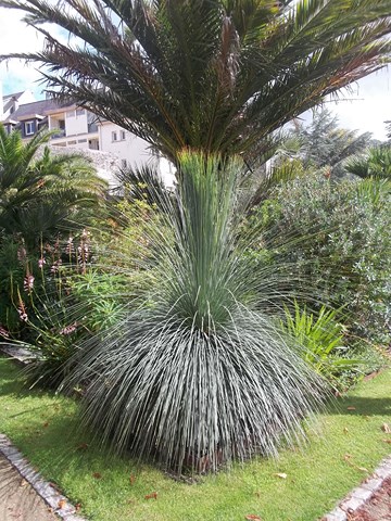 101_1894 (Copier).JPG