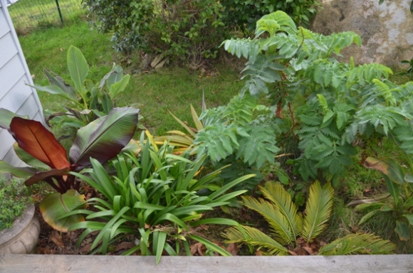 jardin7.JPG