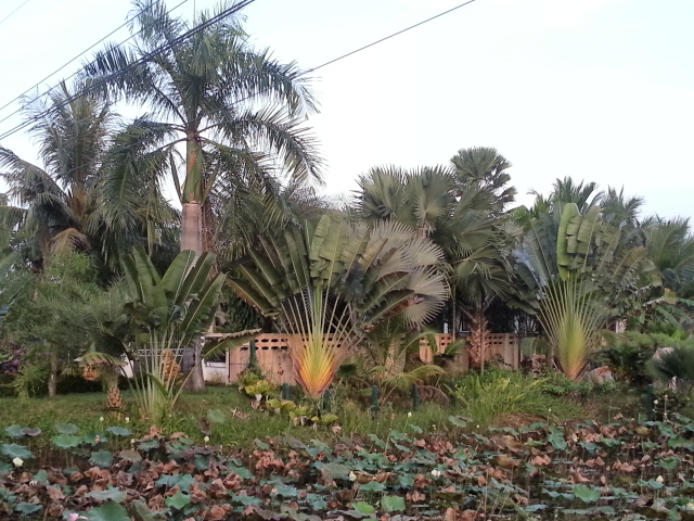 20131120_172146.jpg