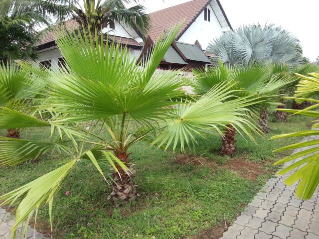 20131125_112234.jpg