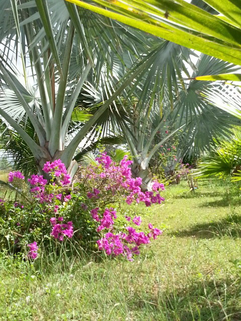 20131125_113046.jpg