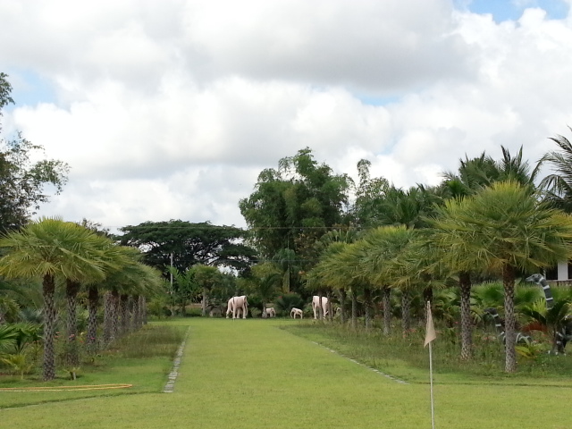 20131125_112647.jpg