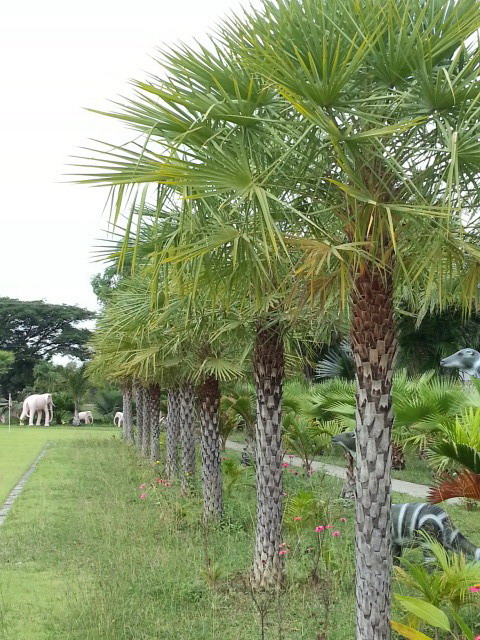 20131125_112719.jpg
