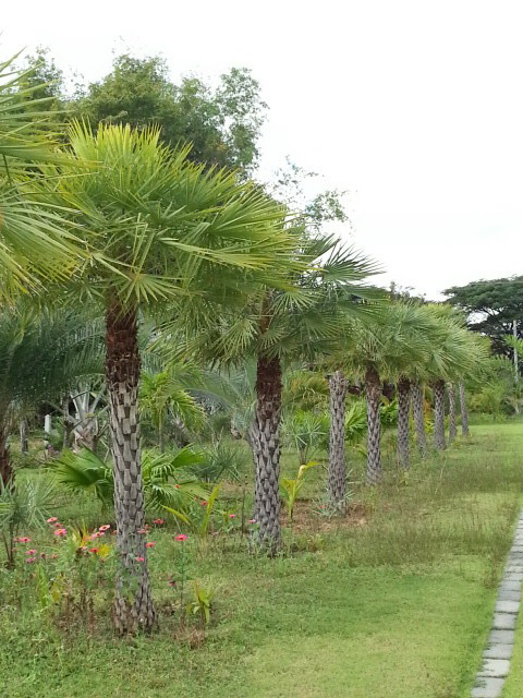 20131125_112732.jpg