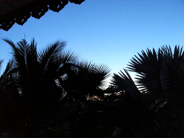 20131127_054942.jpg