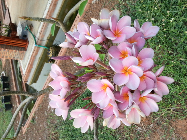 20130407_170837.jpg