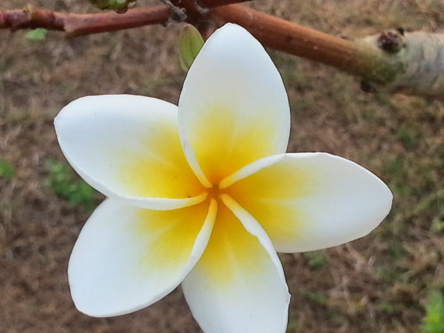 20130204_172411.jpg