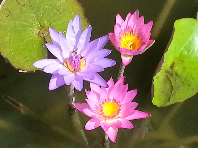 20130122_112923.jpg