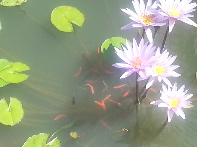 20130204_113120.jpg