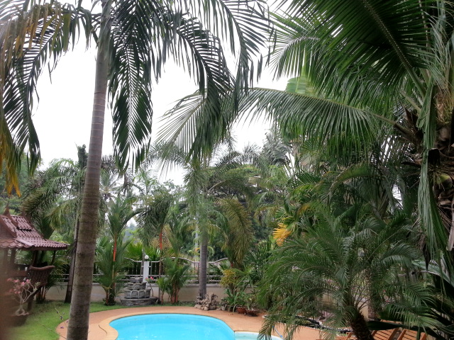 20130408_071444.jpg