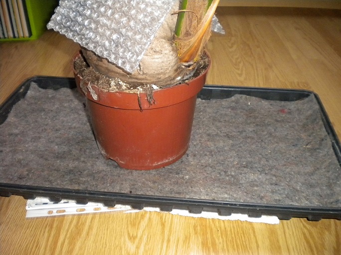 DSCN7016.JPG