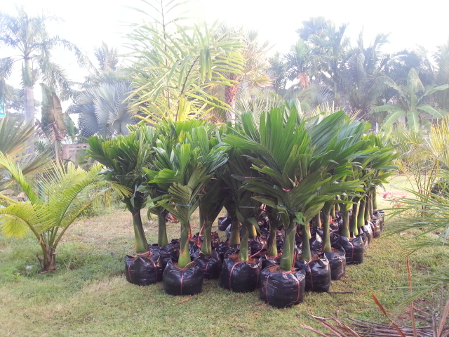 20131205_063939.jpg