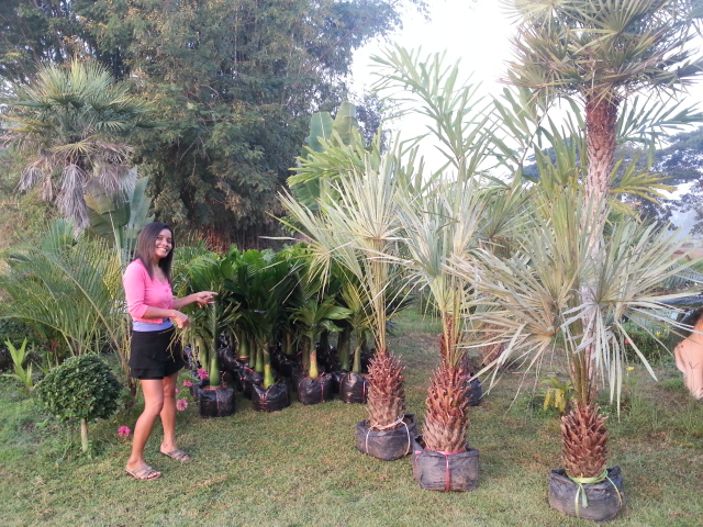 20131205_063735.jpg