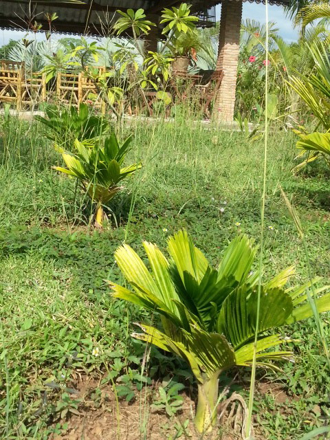 20131126_141109.jpg