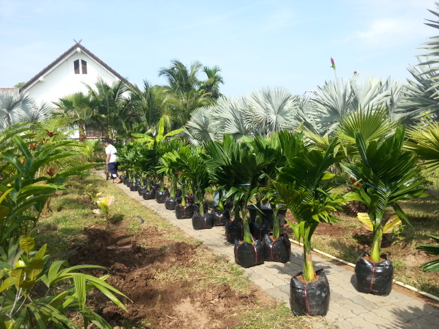 20131205_101249.jpg