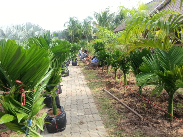 20131205_135607.jpg
