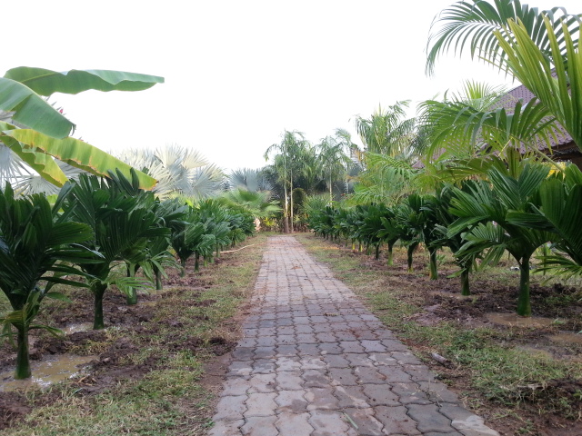 20131205_164818.jpg