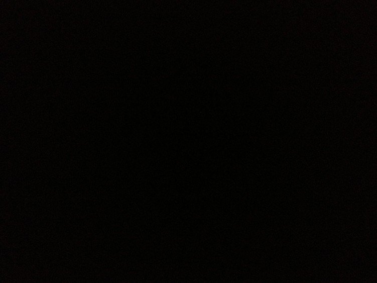 jardin de nuit.jpg