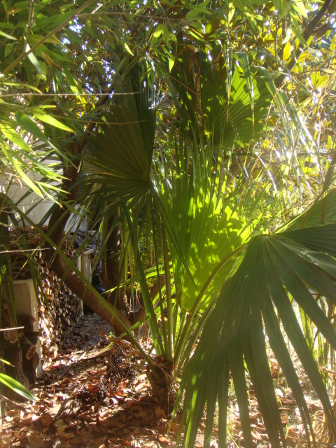 DSC05745.JPG