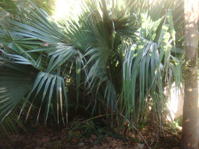 DSC05741.JPG