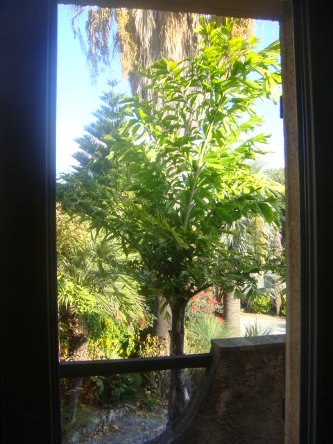DSC05746.JPG