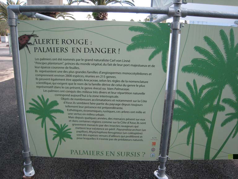 IMG_1452 copie.jpg