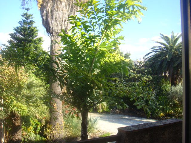 DSC05747.JPG
