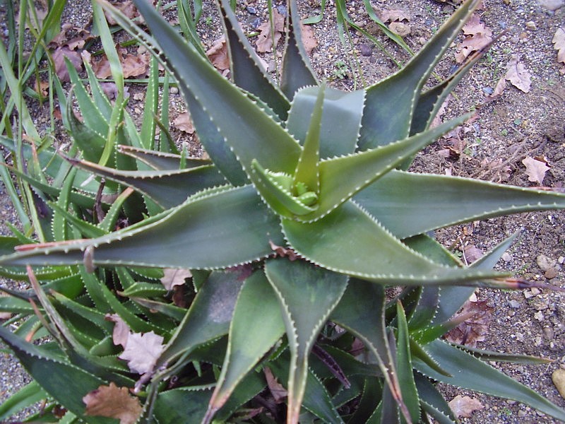 P7310005.JPG